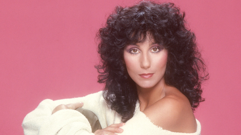 Cher posing for a fashion portrait with a voluminous hairstyle and fluffy top