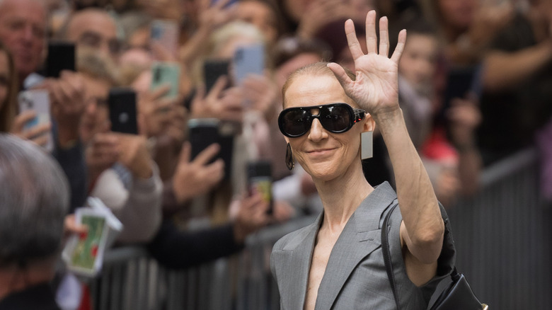 Celine Dion with a slick back waving to a crowd of people