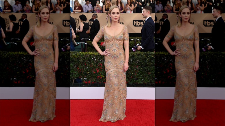 Emily Blunt poses wearing a embroidered sheer dress.