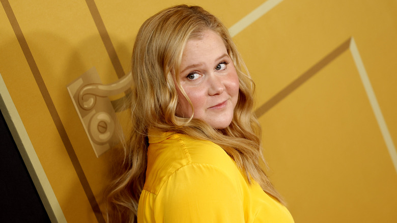 Amy Schumer posing