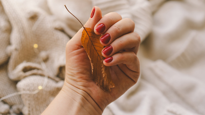 A woman holding an autumn leaf with red nails