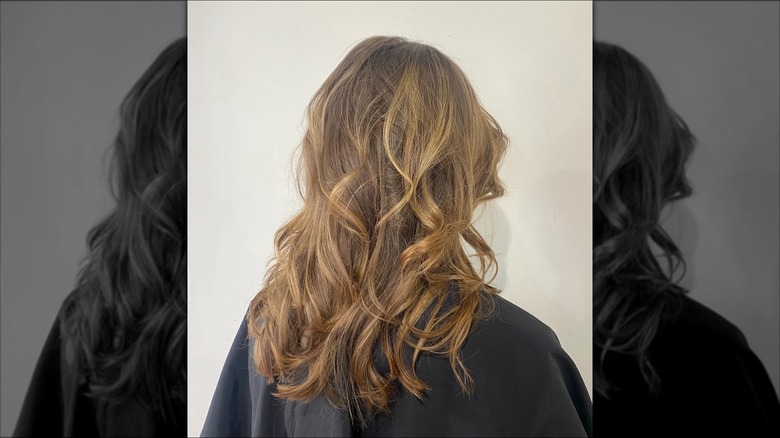 A picture showing the back of a woman's head