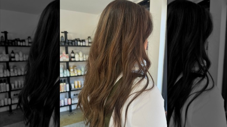 A picture showing the back of a woman's head