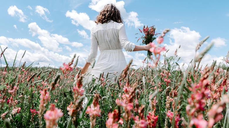 Field of wildflowers