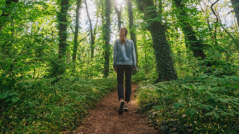 Walking in forest
