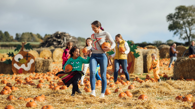 Wide view of two mothers with their children picking pumpkins for Halloween at a pumpkin patch field in Newcastle, England on a nice day in October