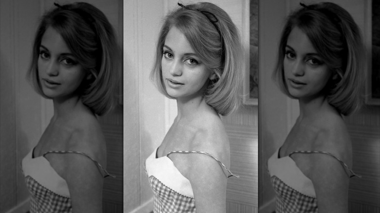 A portrait of Goldie Hawn in 1964.