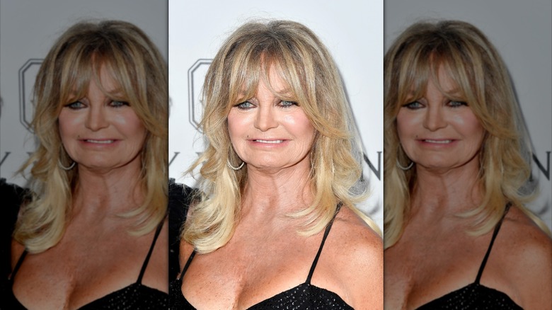 Goldie Hawn attends the amfAR Gala at Ron Burkle's Green Acres Estate on October 13, 2017 in Beverly Hills