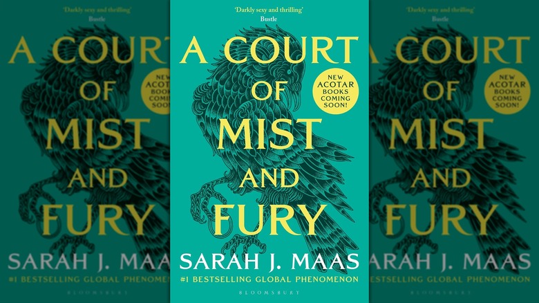 The front cover of A Court of Mist and Fury by Sarah J. Maas