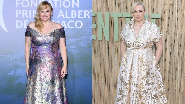 Rebel Wilson on the red carpet in 2024 in a gown and wearing a gold dress on the red carpet in 2025, side by side photos
