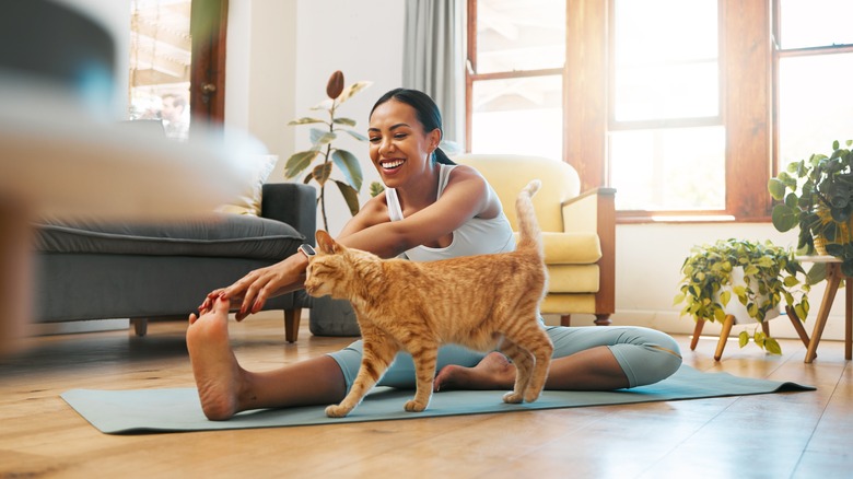 Doing yoga with cat