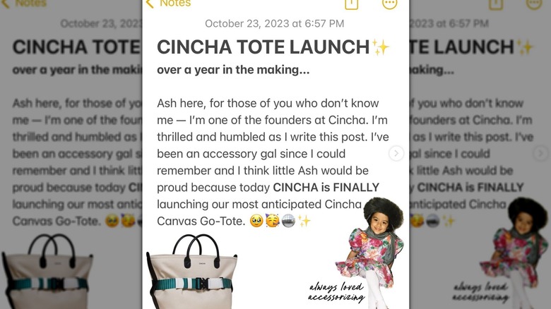Cincha tote annoucement