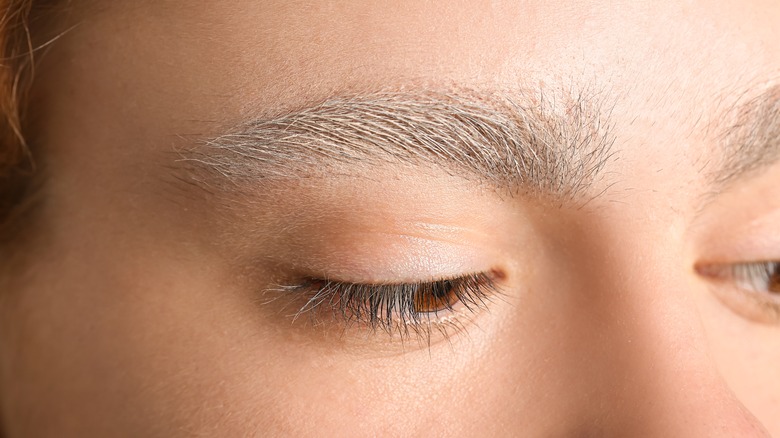 Close-up of bleached eyebrows