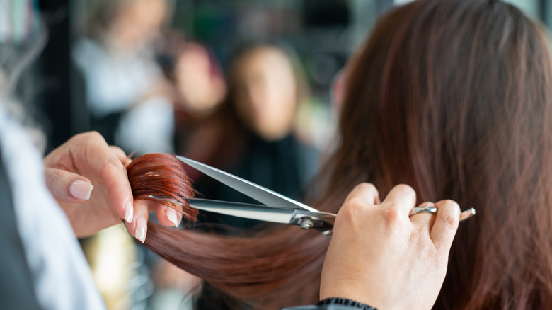 woman getting a haircut