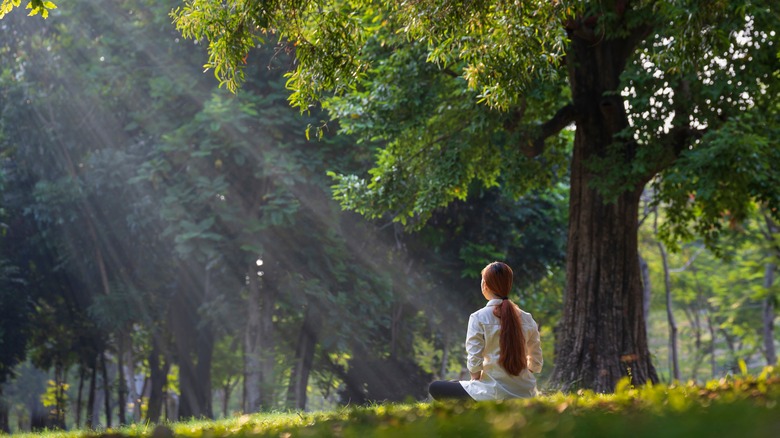 Relax in nature