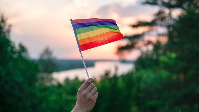 hand holding a rainbow flag