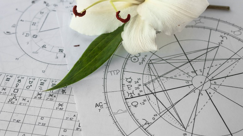 Zodiac chart