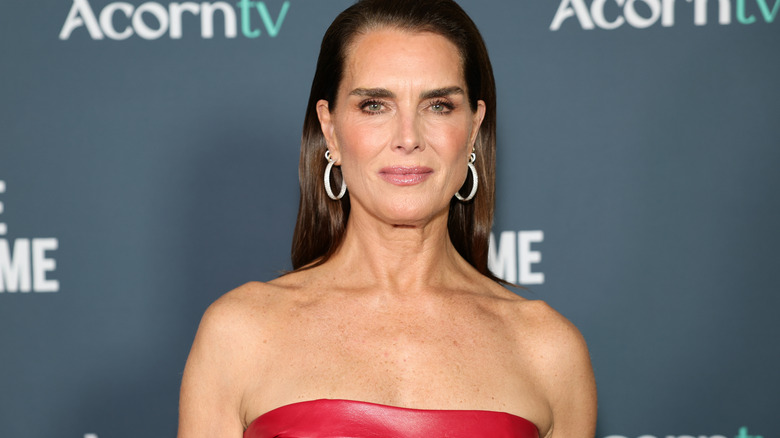 Brooke Shields attends 