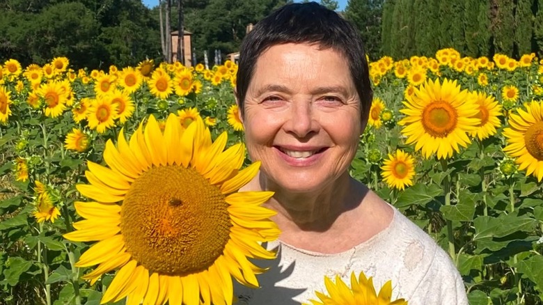Isabella Rossellini posing in a field of sunflowers in 2026