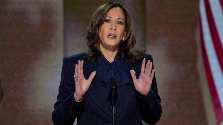 Kamala Harris speaks during the DNC august 2024