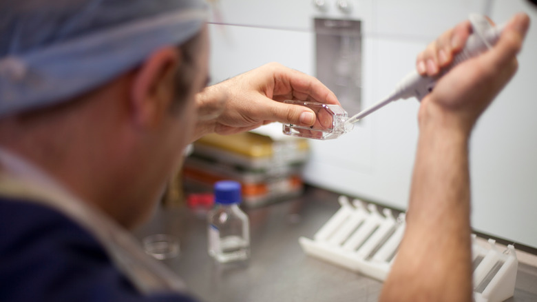 in vitro fertilization concept