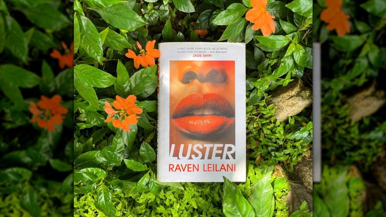 A copy of "Luster" laying on a bed of plants