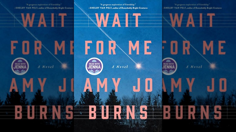 The book cover of "Wait for Me" by Amy Jo Burns