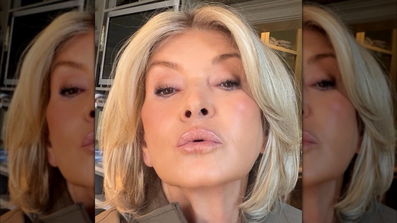Martha Stewart showing off her lip color in a selfie on Instagram