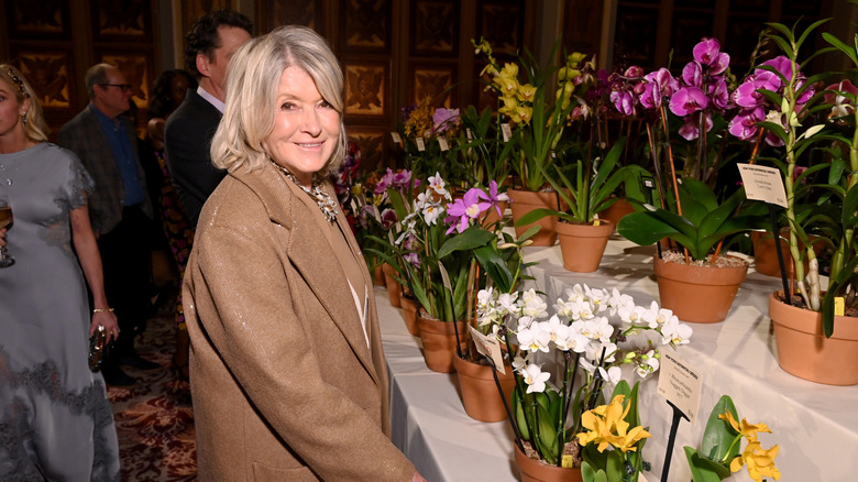 Martha Stewart looking into the camera while oriented towards an array of potted orchids put on display