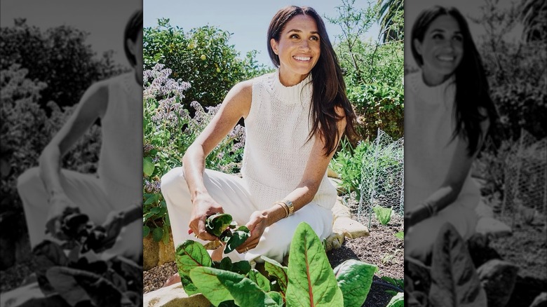 Meghan Markle smiles as she gardens in 2025