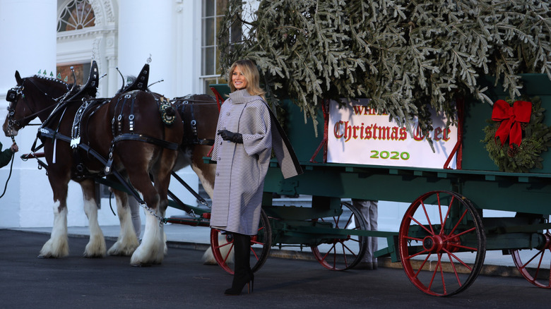 Melania Trump inspecting the Christmas tree in 2020