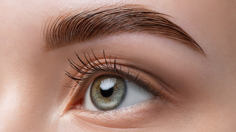 Coseup shot of a woman's brow