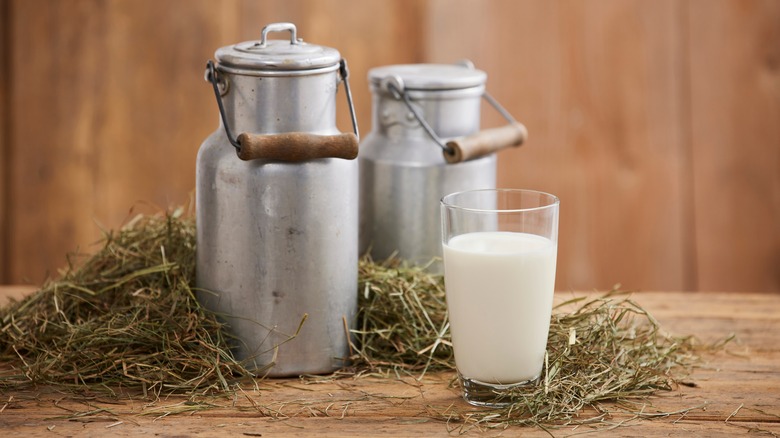 milk