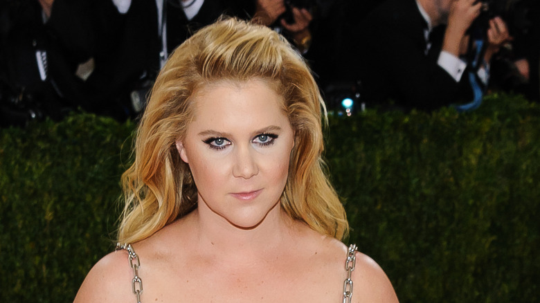 Amy Schumer Manus x Machina Fashion Metropolitan Museum of Art