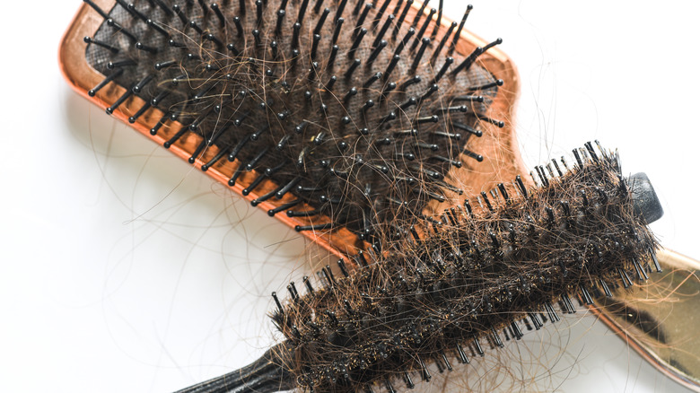 Two dirty hair brushes on a table