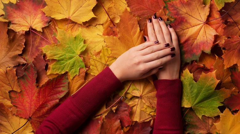 Feminine hands with dark red nail polish against an autumnal leaves background