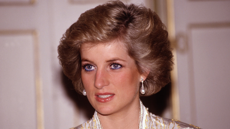 Princess Diana pictured in 1988