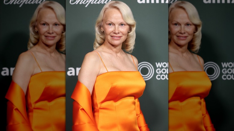 Pamela Anderson smiles on the red carpet in 2026