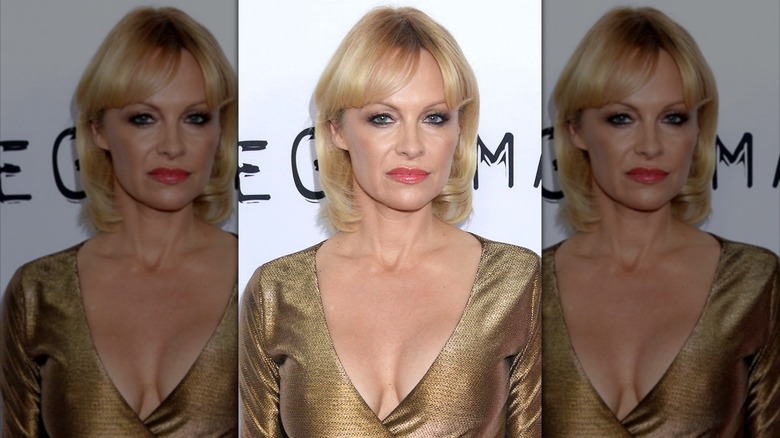 Pamela Anderson in 2015