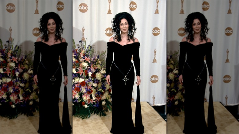 Cher poses in a black velvet gown