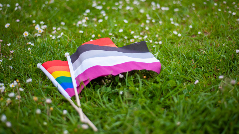 two pride flags