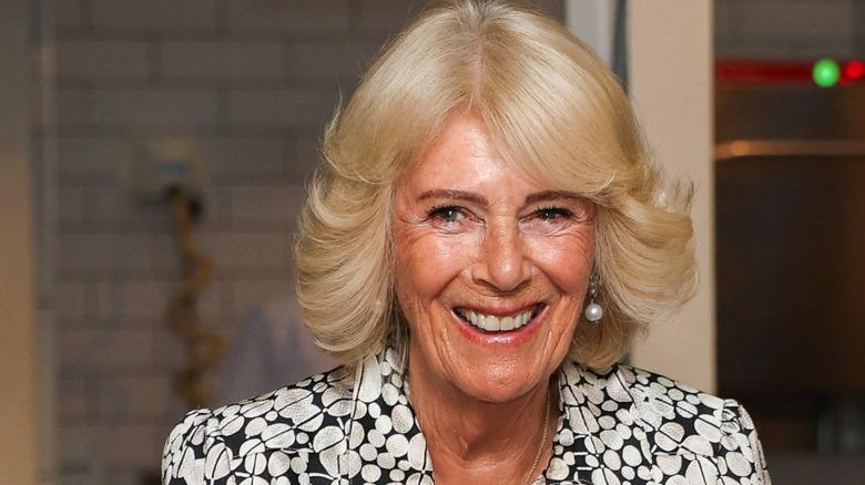 Queen Camilla pictured smiling in 2026
