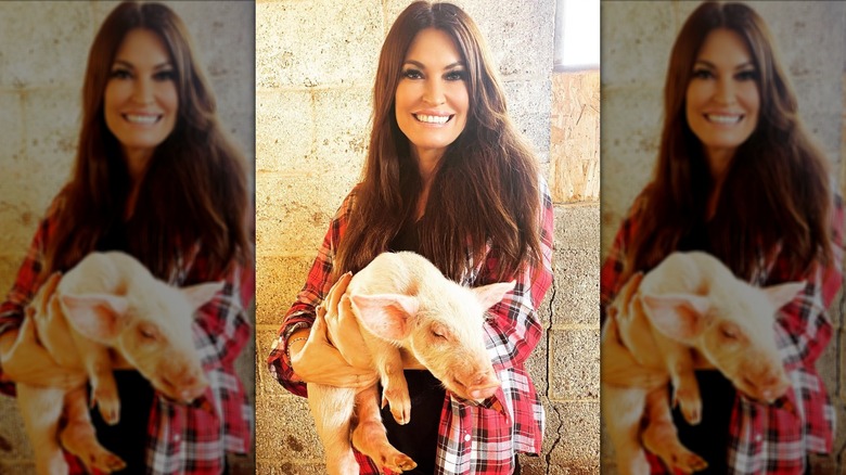 kimberly guilfoyle wearing flannel and holding a baby pig