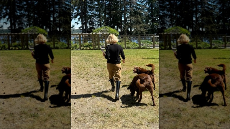 Pamela Anderson near her dogs