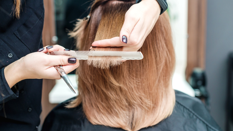 Woman getting a haircut