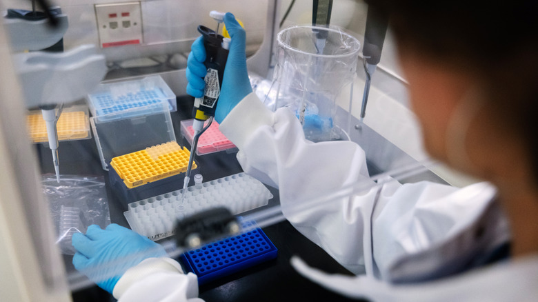Medical professional performs genetics testing