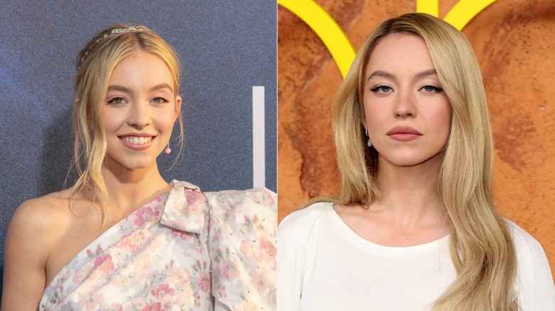 Side-by-side photos of Sydney Sweeney at the 2019 "Euphoria" Season 1 premiere and the 2026 "Euphoria" Season 3 premiere