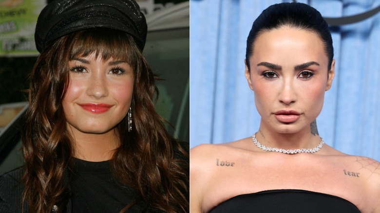 Demi Lovato in 2008 and in 2025, side by side photos