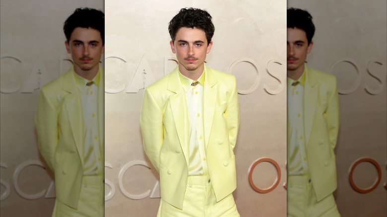 Timothee Chalamet at Oscars