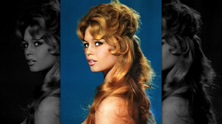An undated portrait of Brigitte Bardot